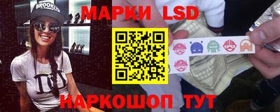 амф Сланцы