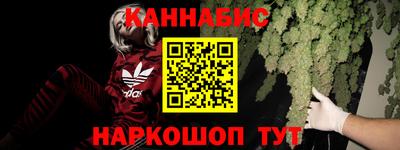 крисы Славянск-на-Кубани