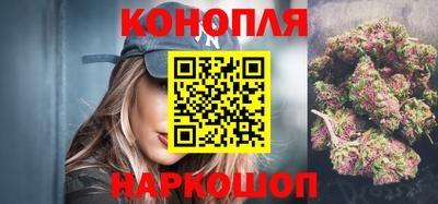 амф Сланцы