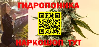 амф Сланцы