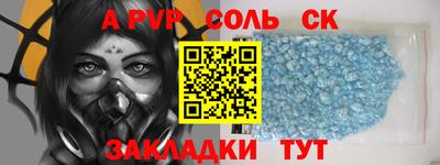 амф Сланцы