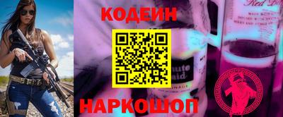 крисы Славянск-на-Кубани
