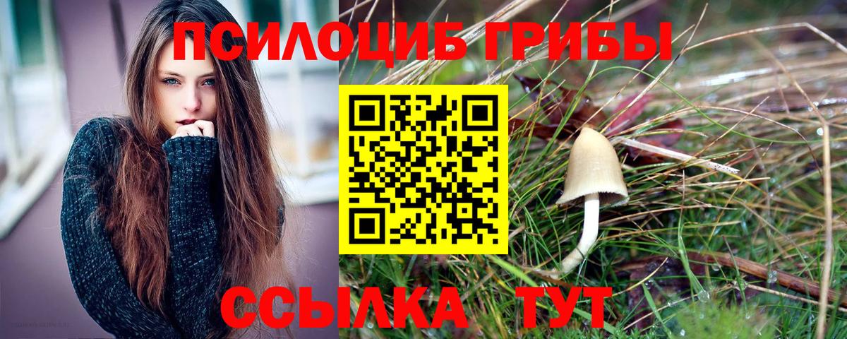 где продают наркотики  Вход с VPN  Нижнеудинск  Псилоцибиновые грибы ЛСД 